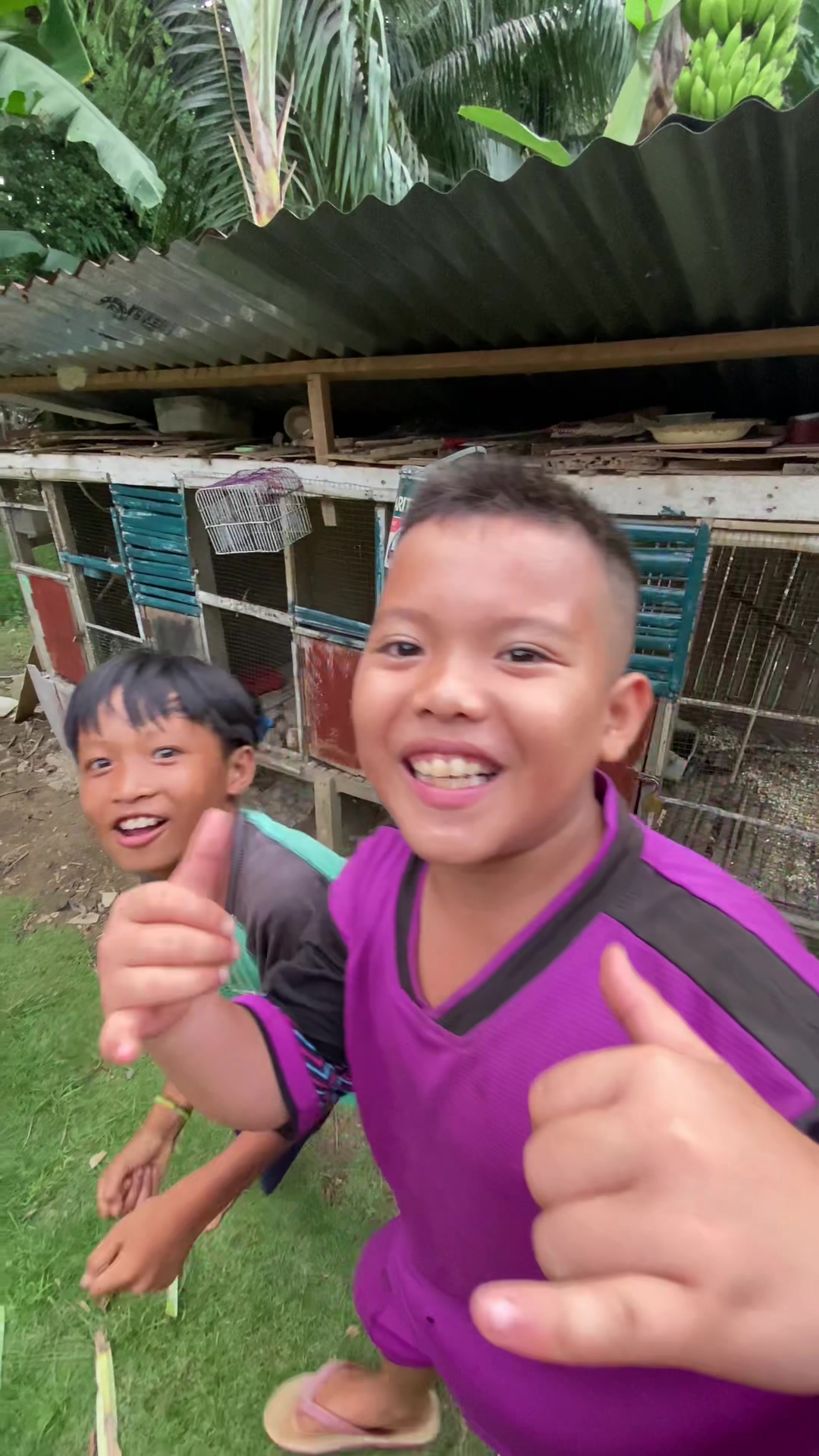 @KICAU SIPALING VIRAL