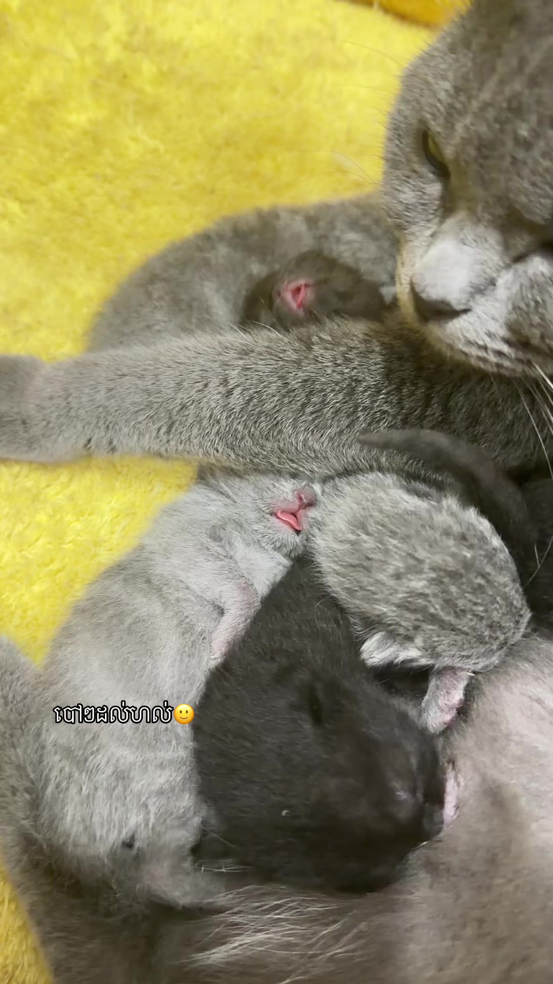 @๐ฎ๐๐๐ ๐๐๐๐