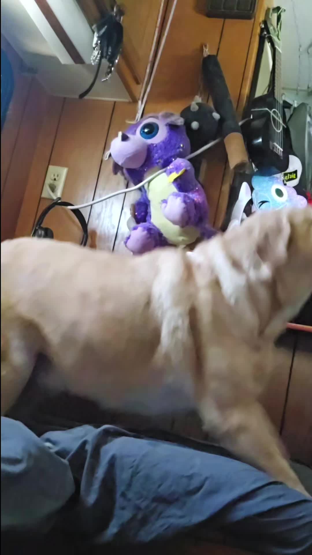 @PuffPuffPoppy