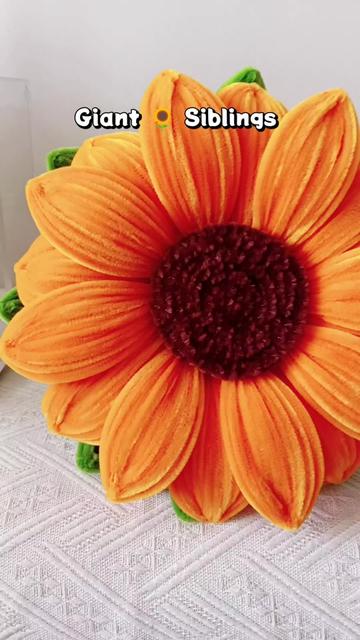 @Ayu ShafeezA🌷
