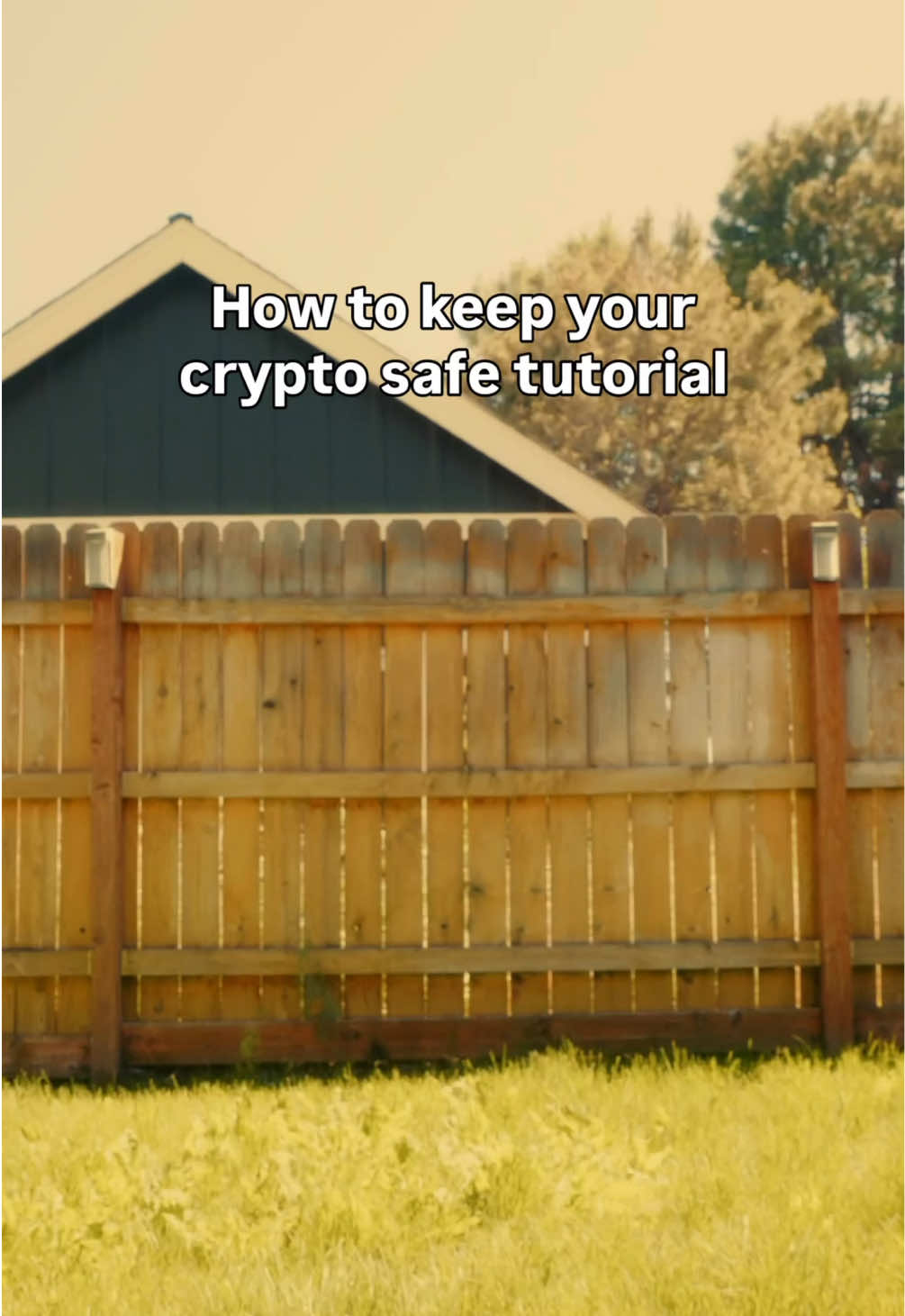 @ledger
