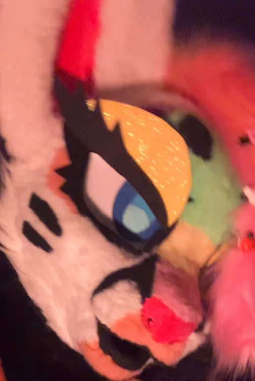 @Liger~Liger🐾🍉