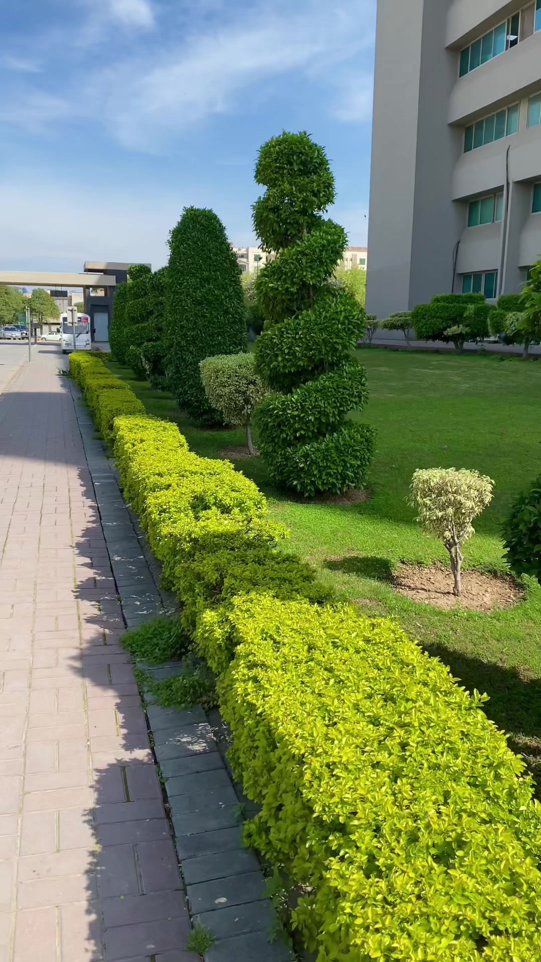 @✨🥀مریم