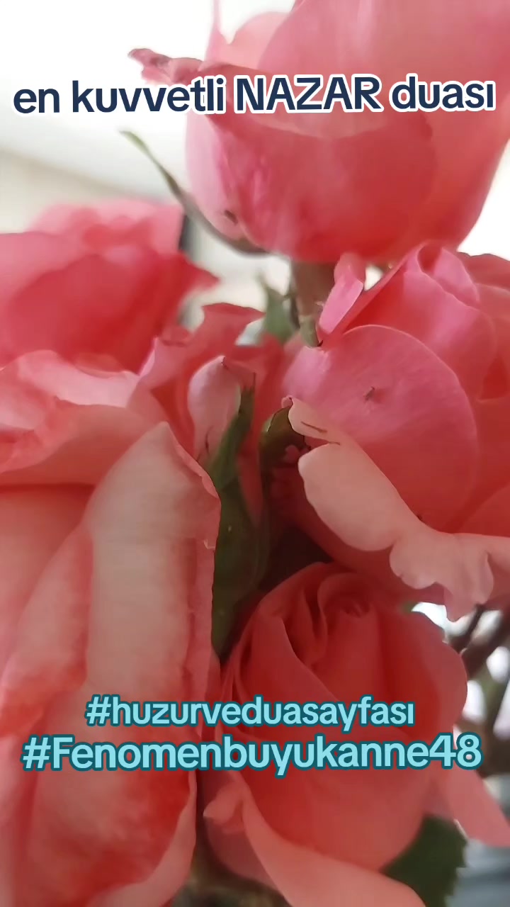 @Fenomenbuyukanne48