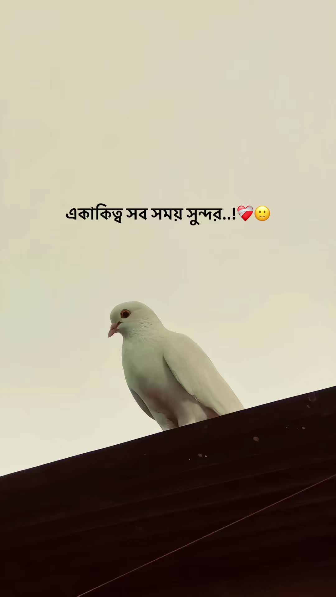 @the_spydoo🕸️ 🥏