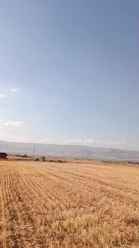 @yetkin497