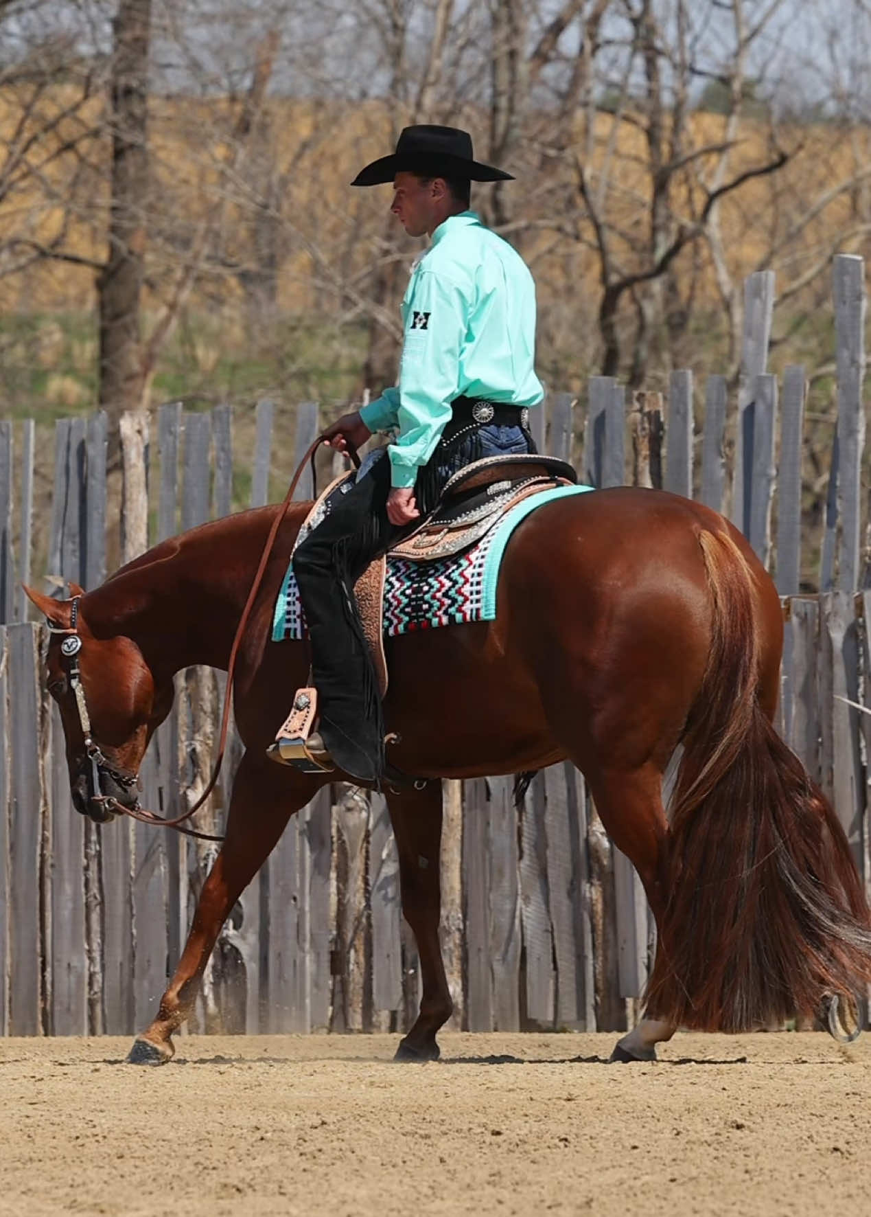 @Miranda | Equine Photographer