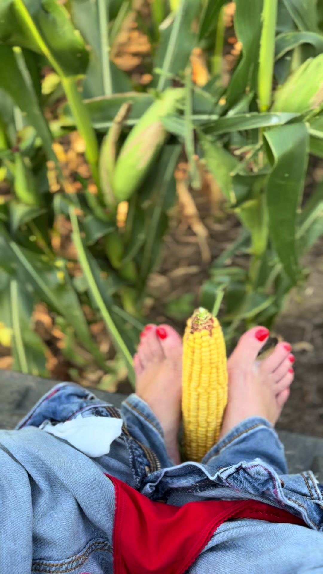 @Farmerbarbieali