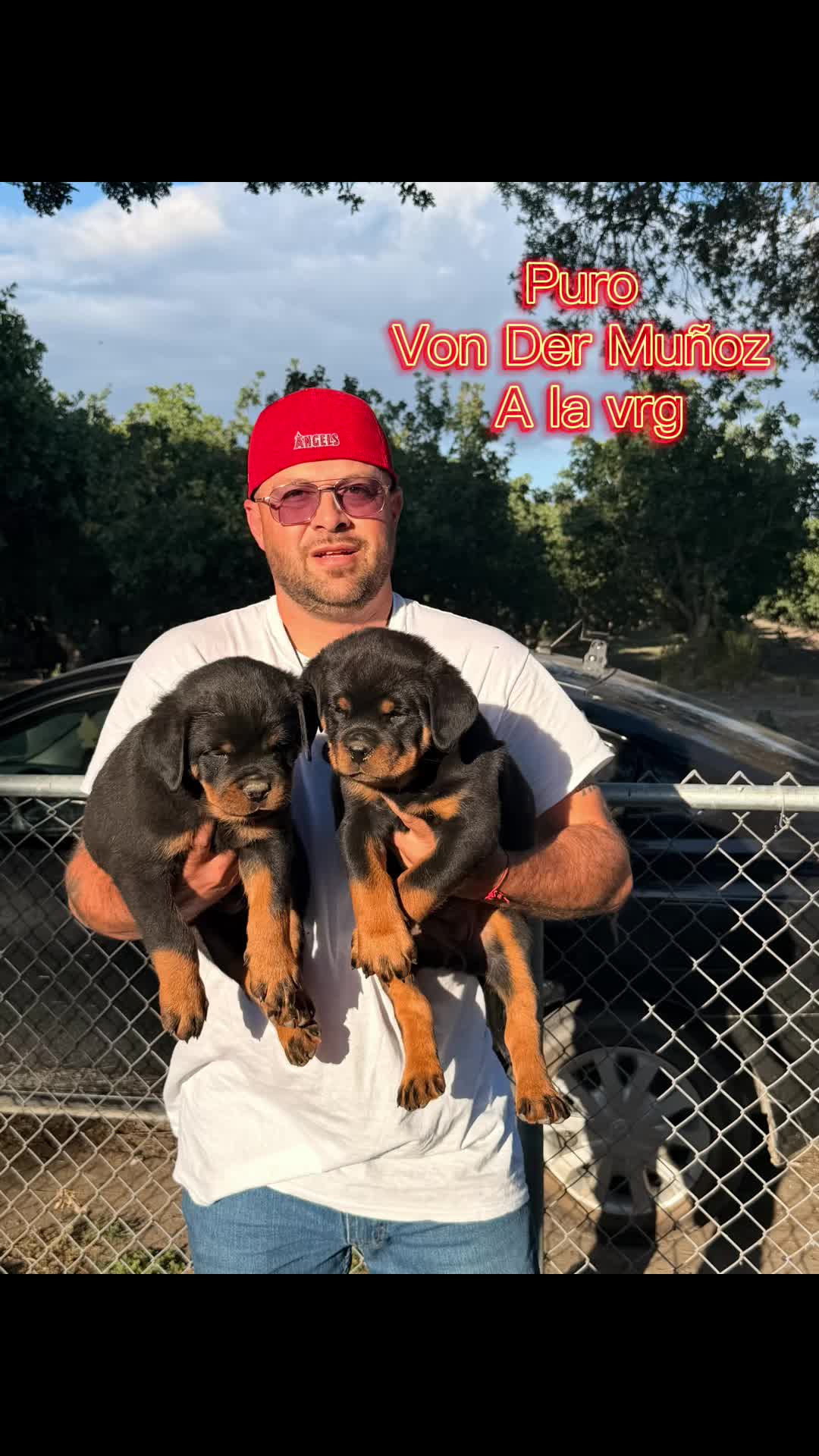 @✨VON DER MU&Ntilde;OZ ROTT&rsquo;S✨