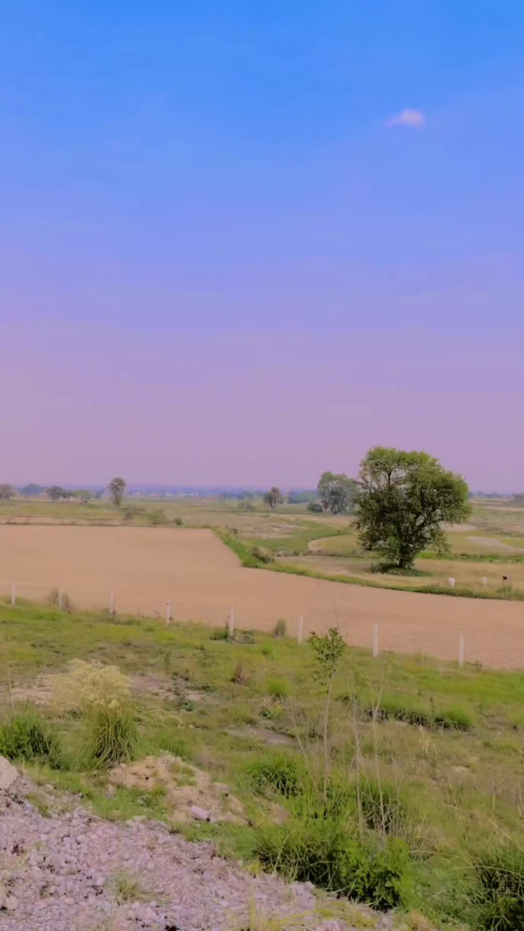 @Saeed khan
