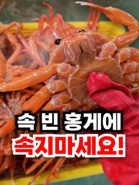 @싱싱헌터스