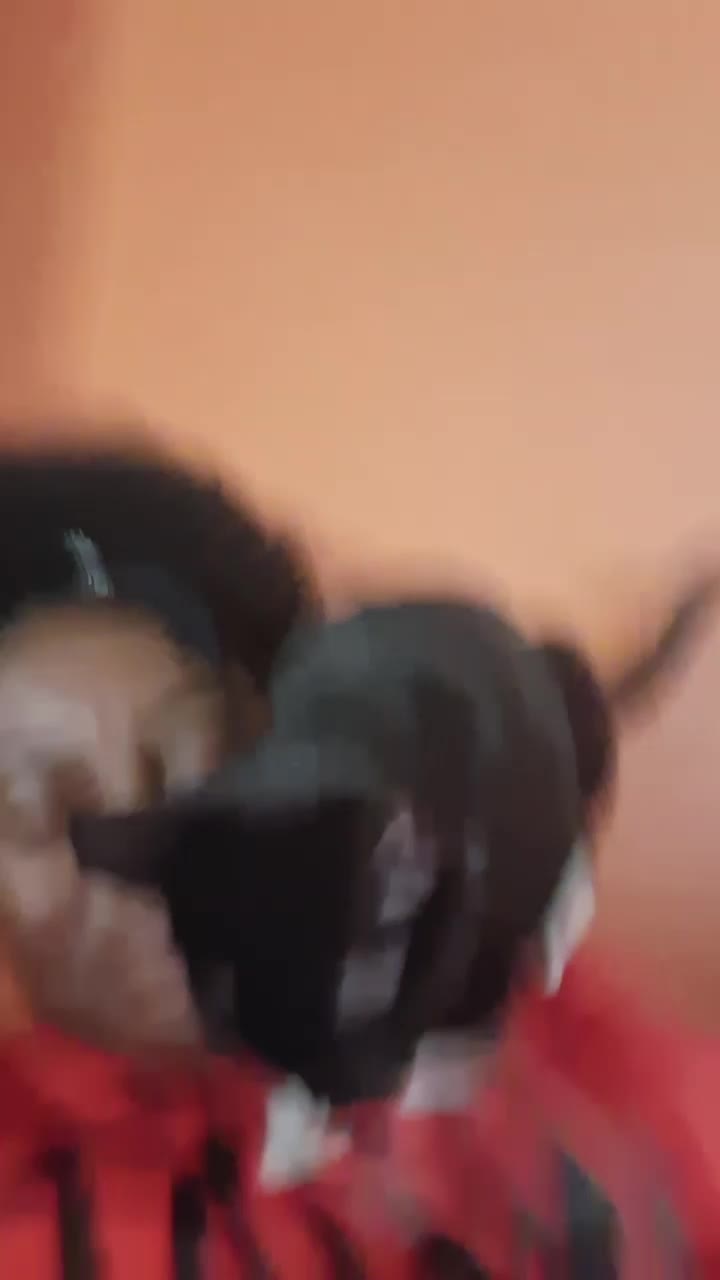 @kiki