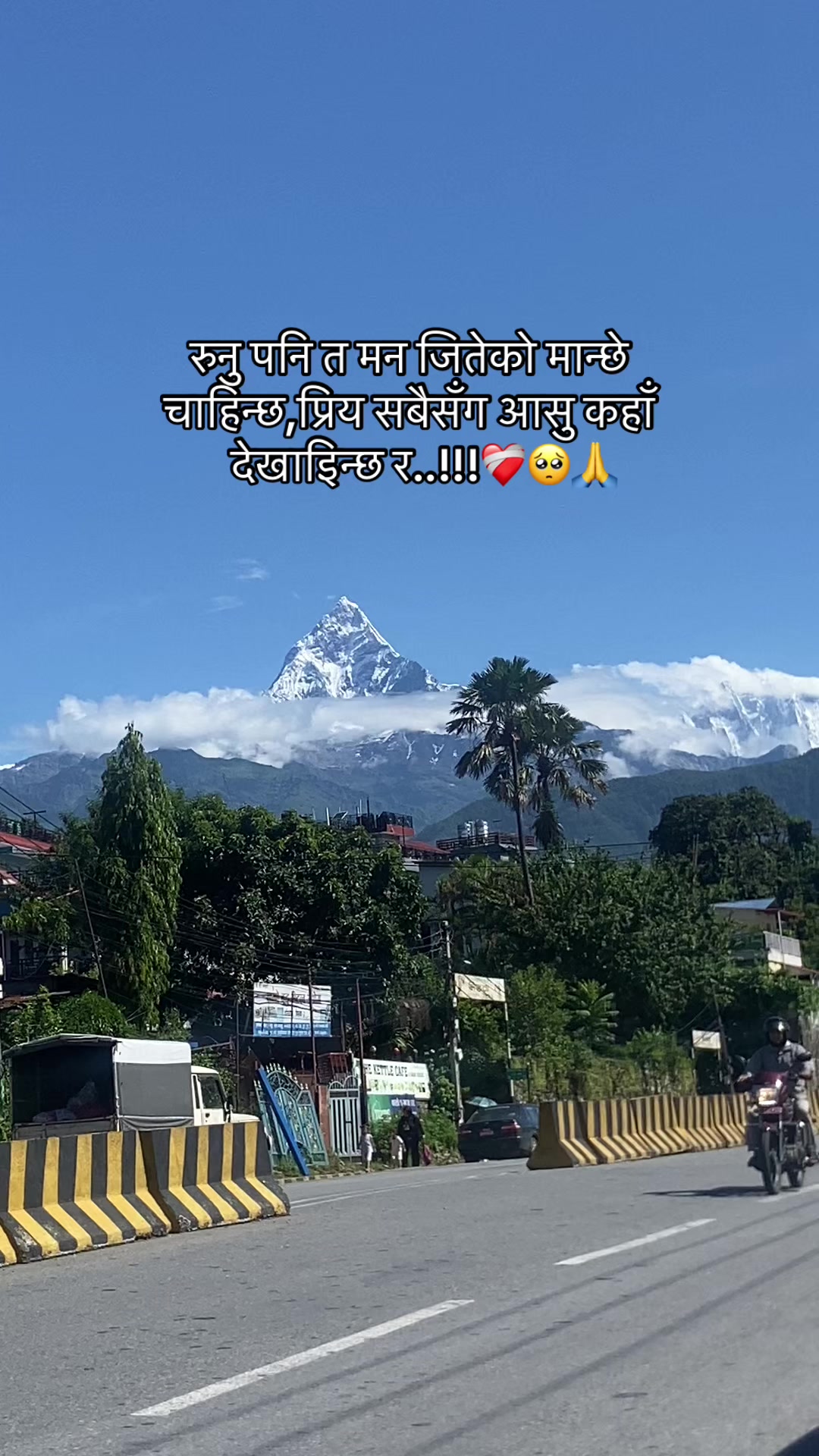 @☮️🕊️