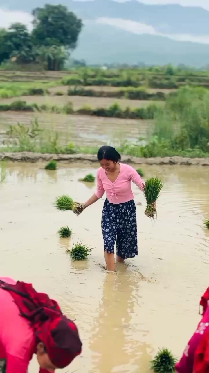 @🌷