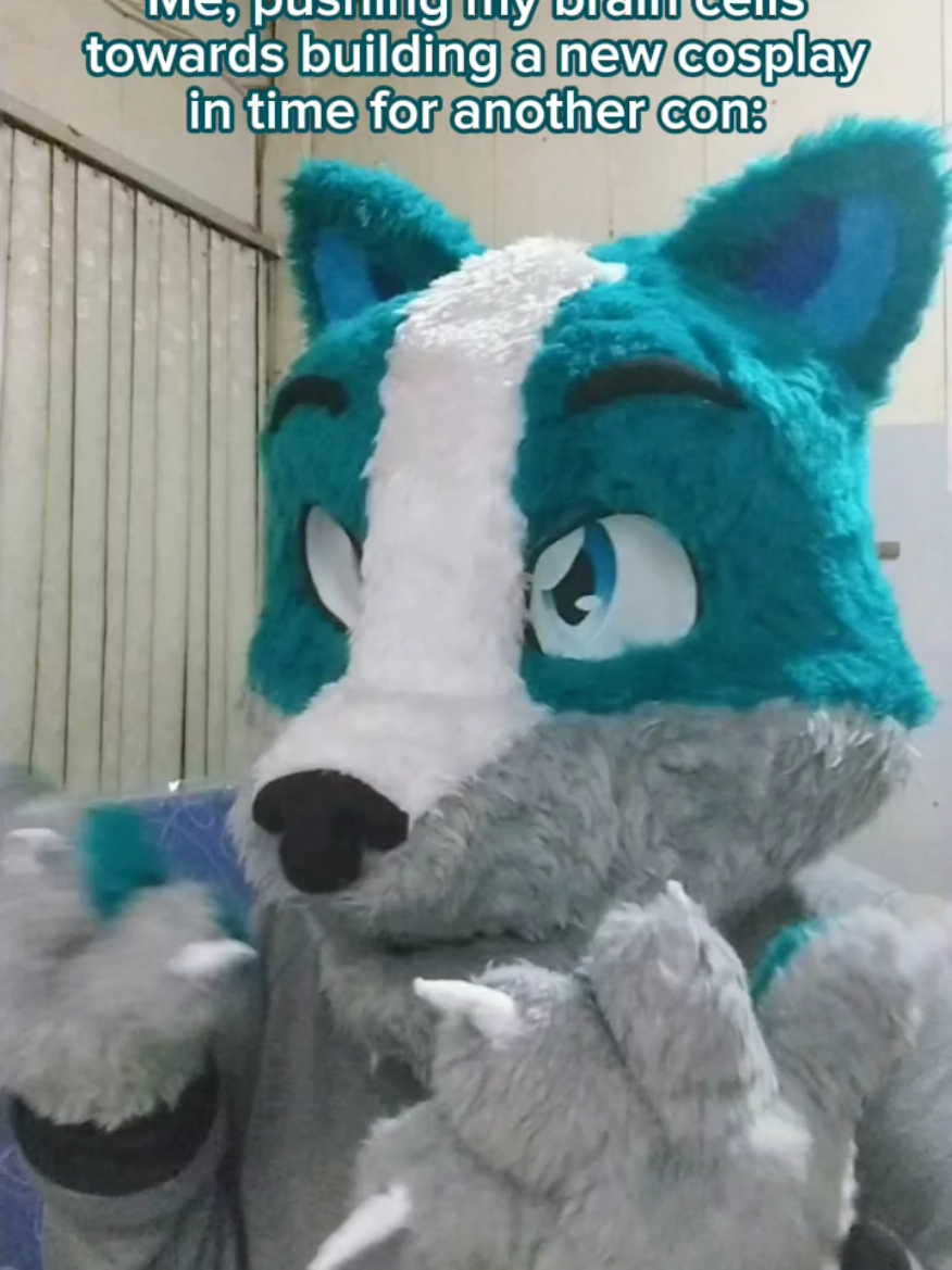 @FXBR