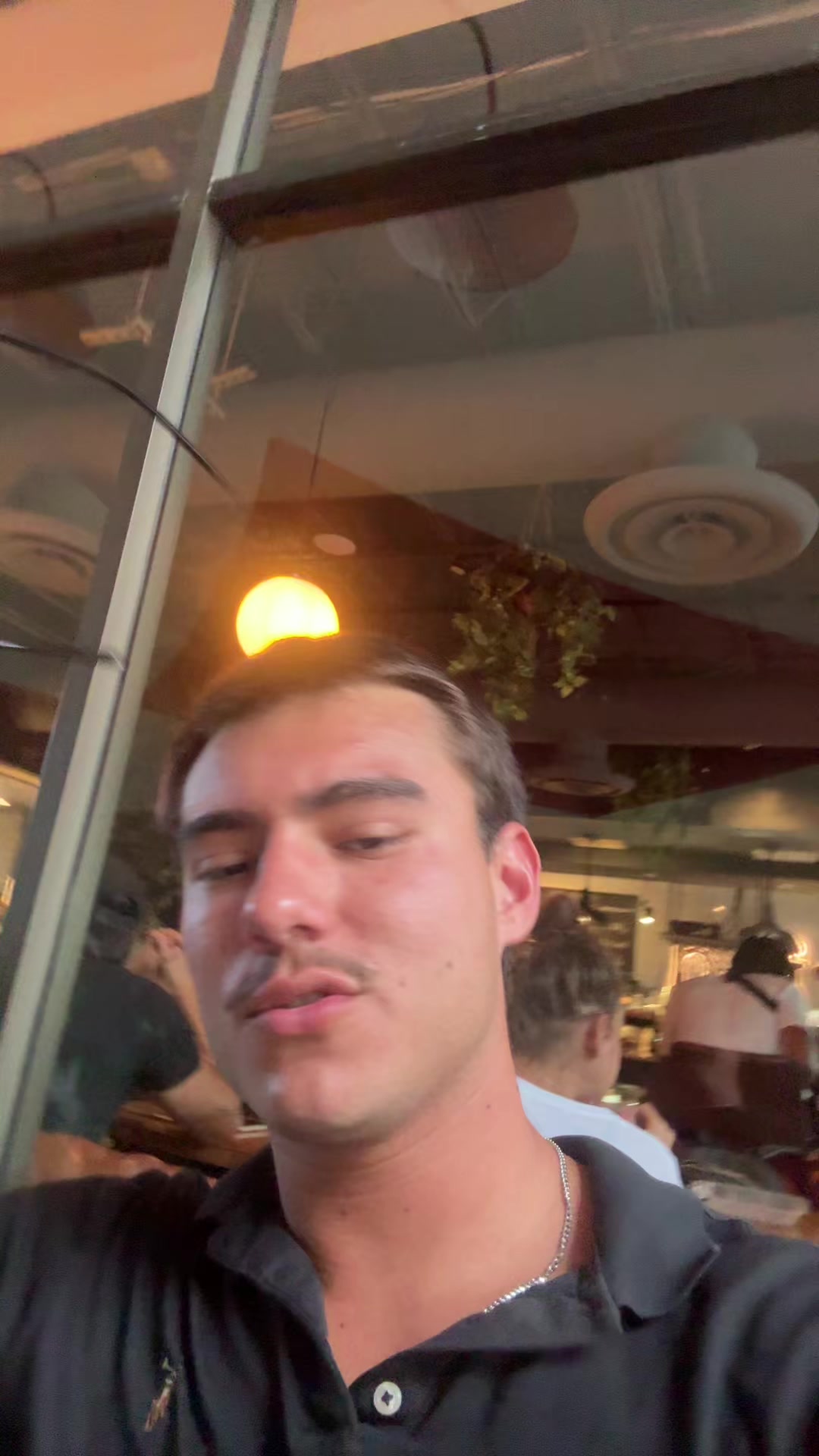@mendiolaenusa