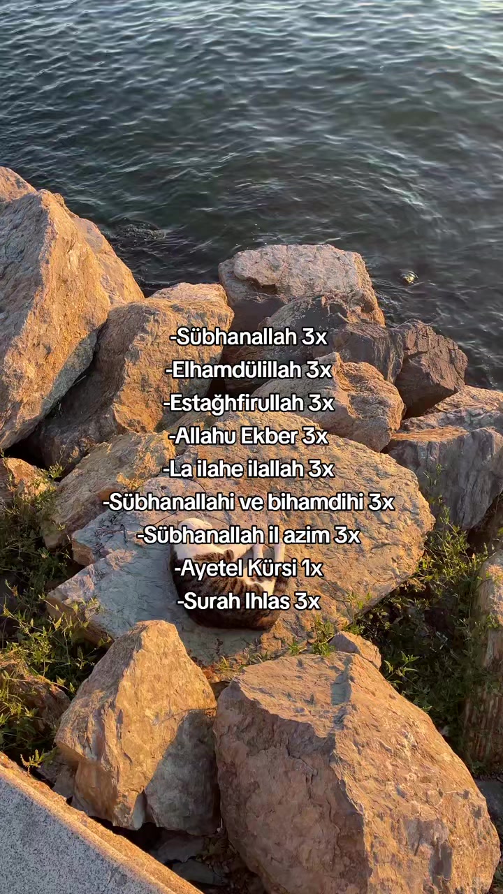 @﷽Mümin🇵🇸