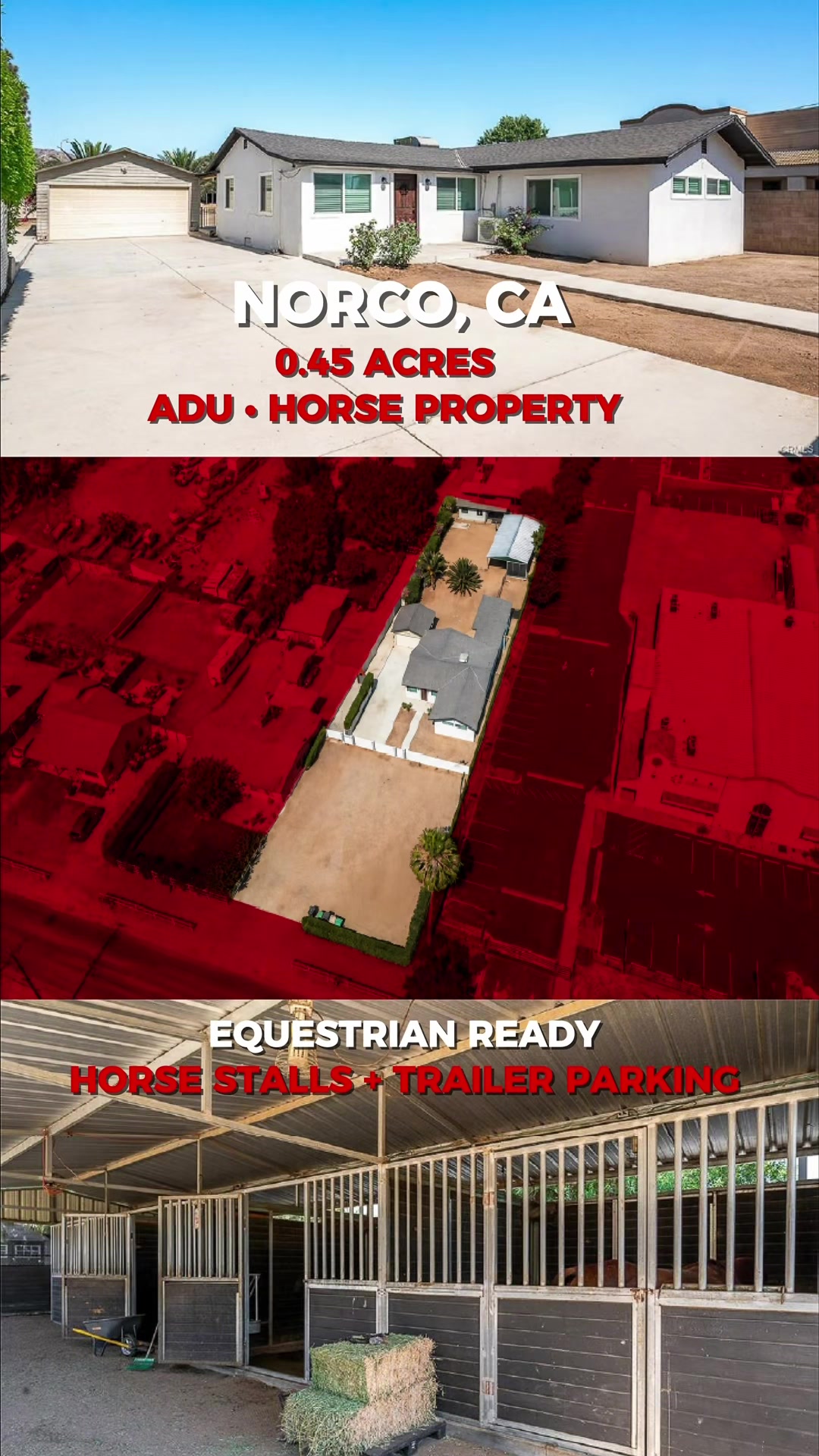@MedelRealty_Team
