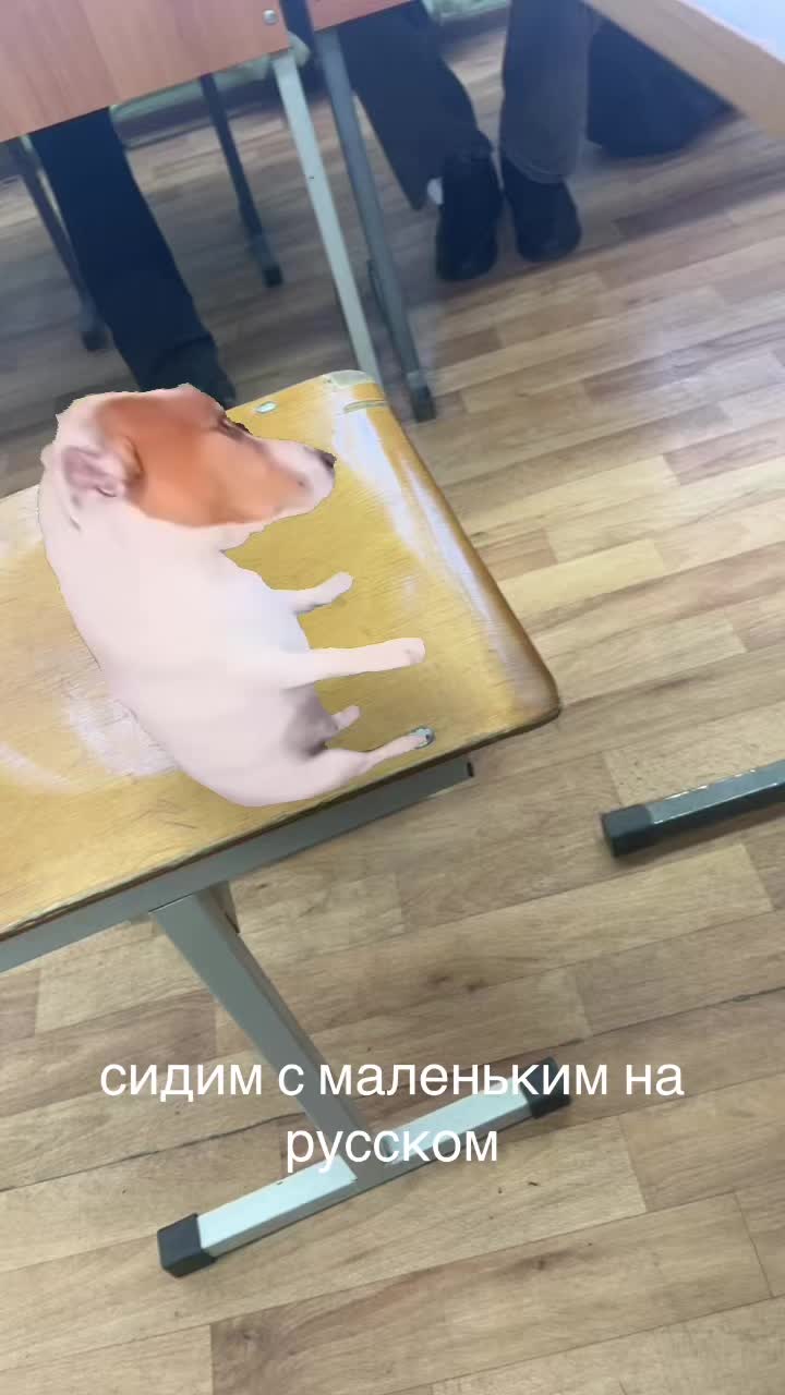 @xzzxzczcz