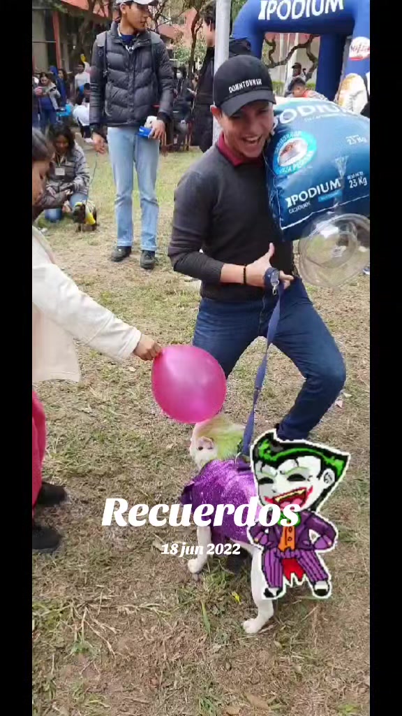 @Woof Bolivia