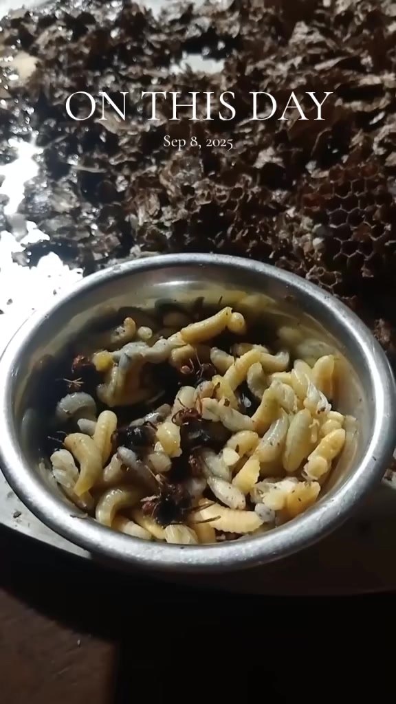 @बिन्दास