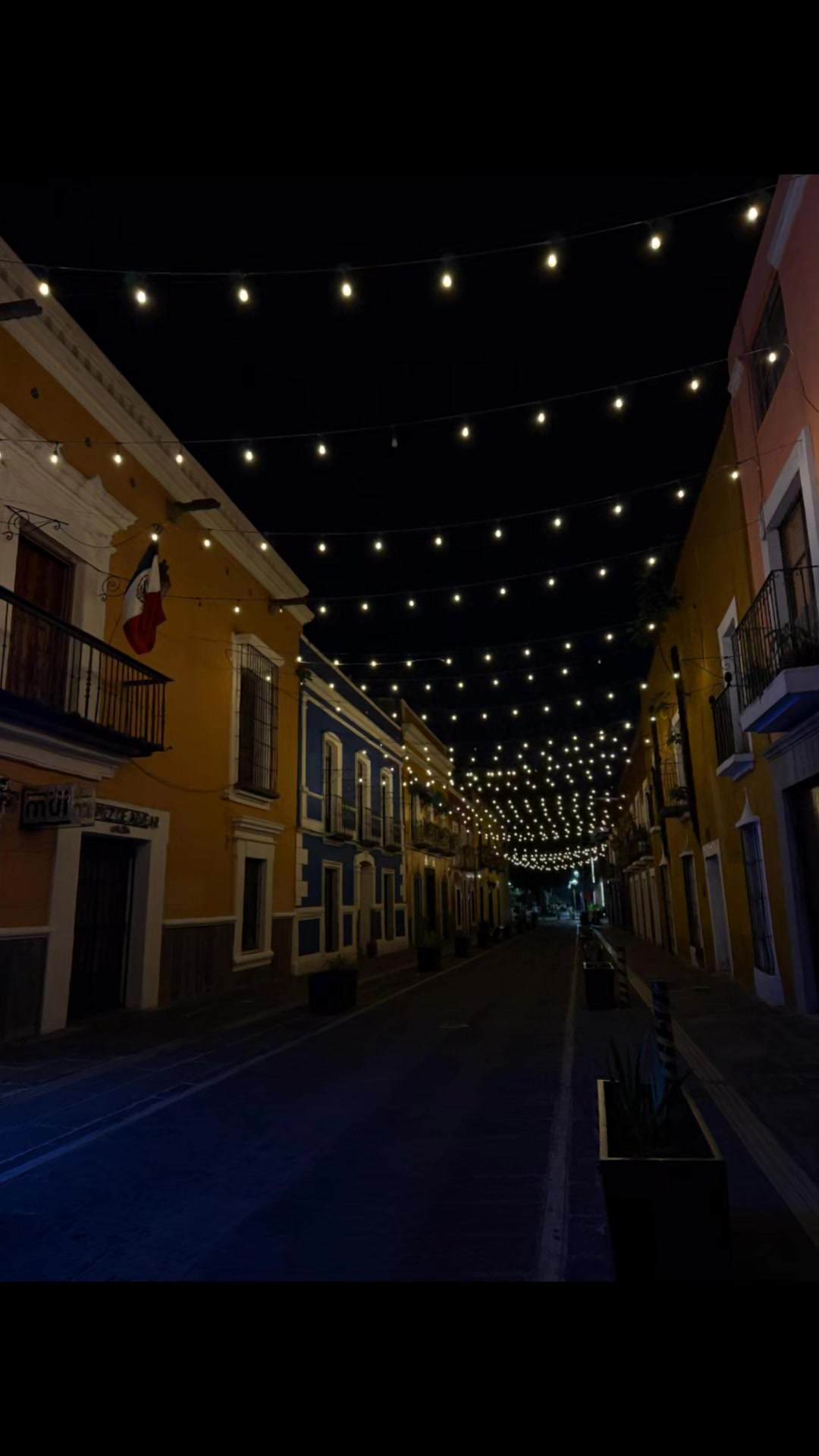 @Gloria Avila