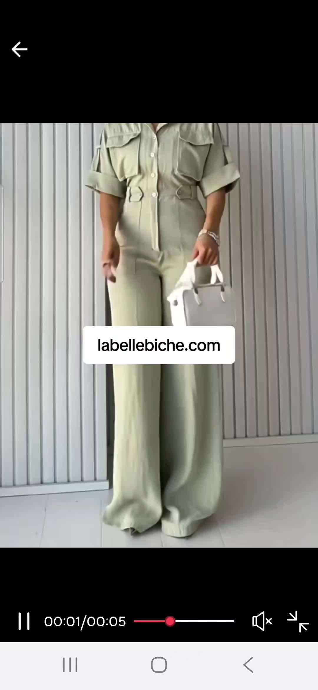 @LaBelleBiche
