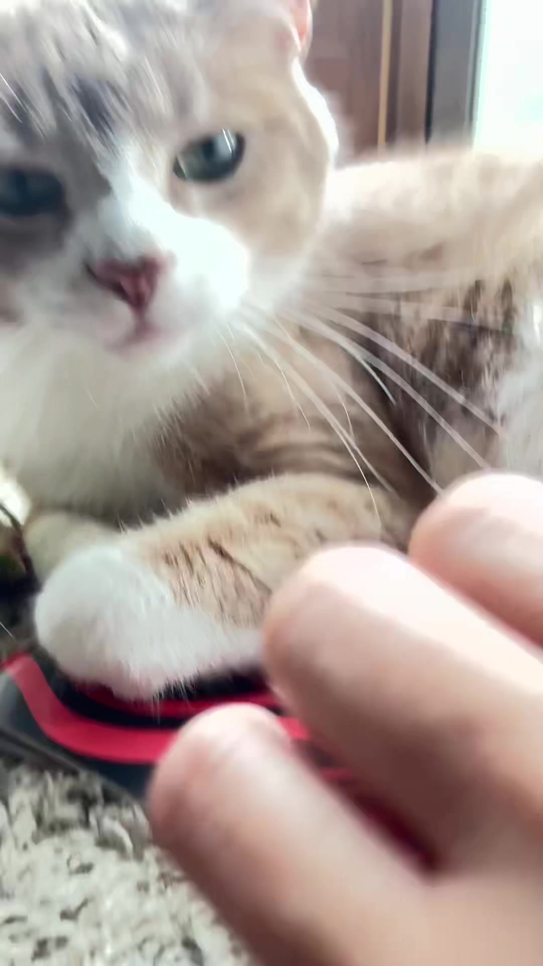 @MsHypurr