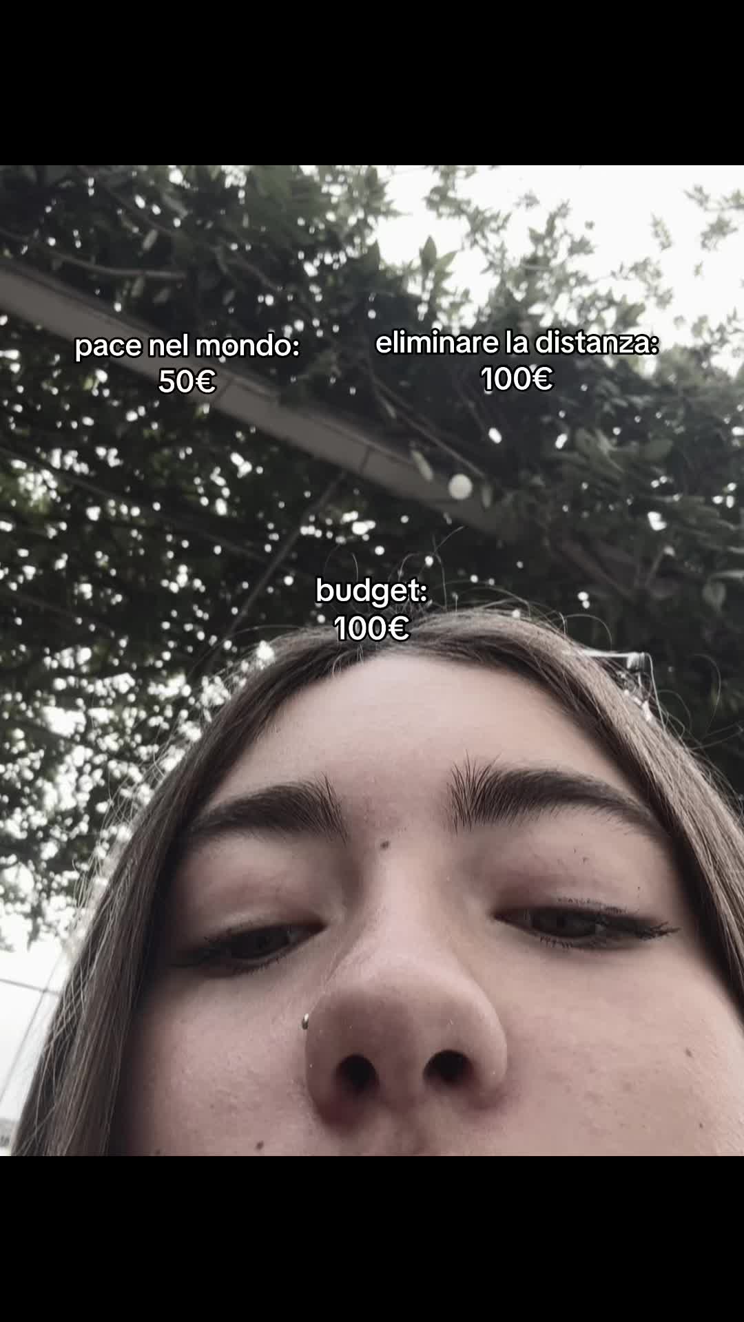 @⭐️الفيولا