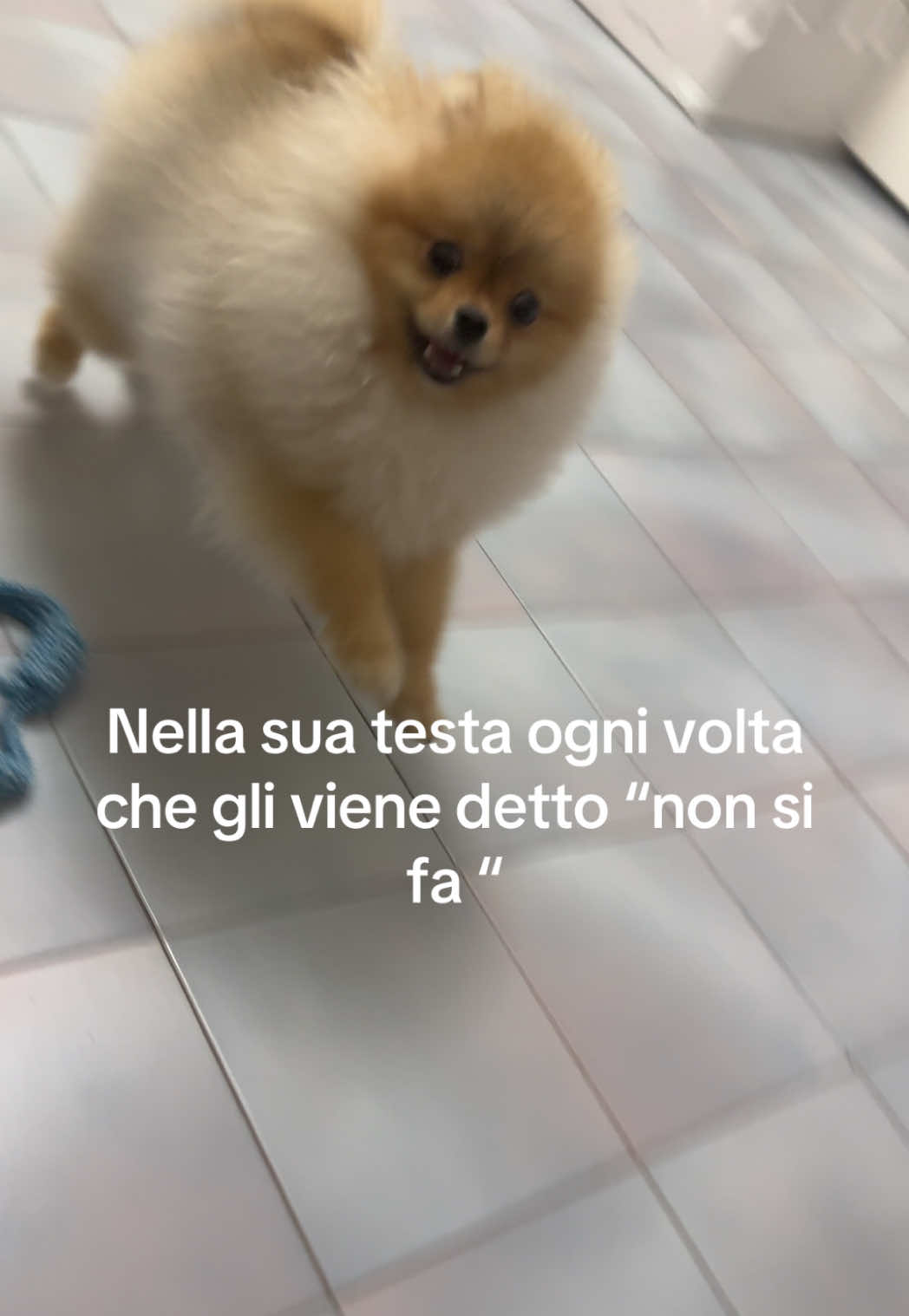 @Sabrina Lo Piccolo