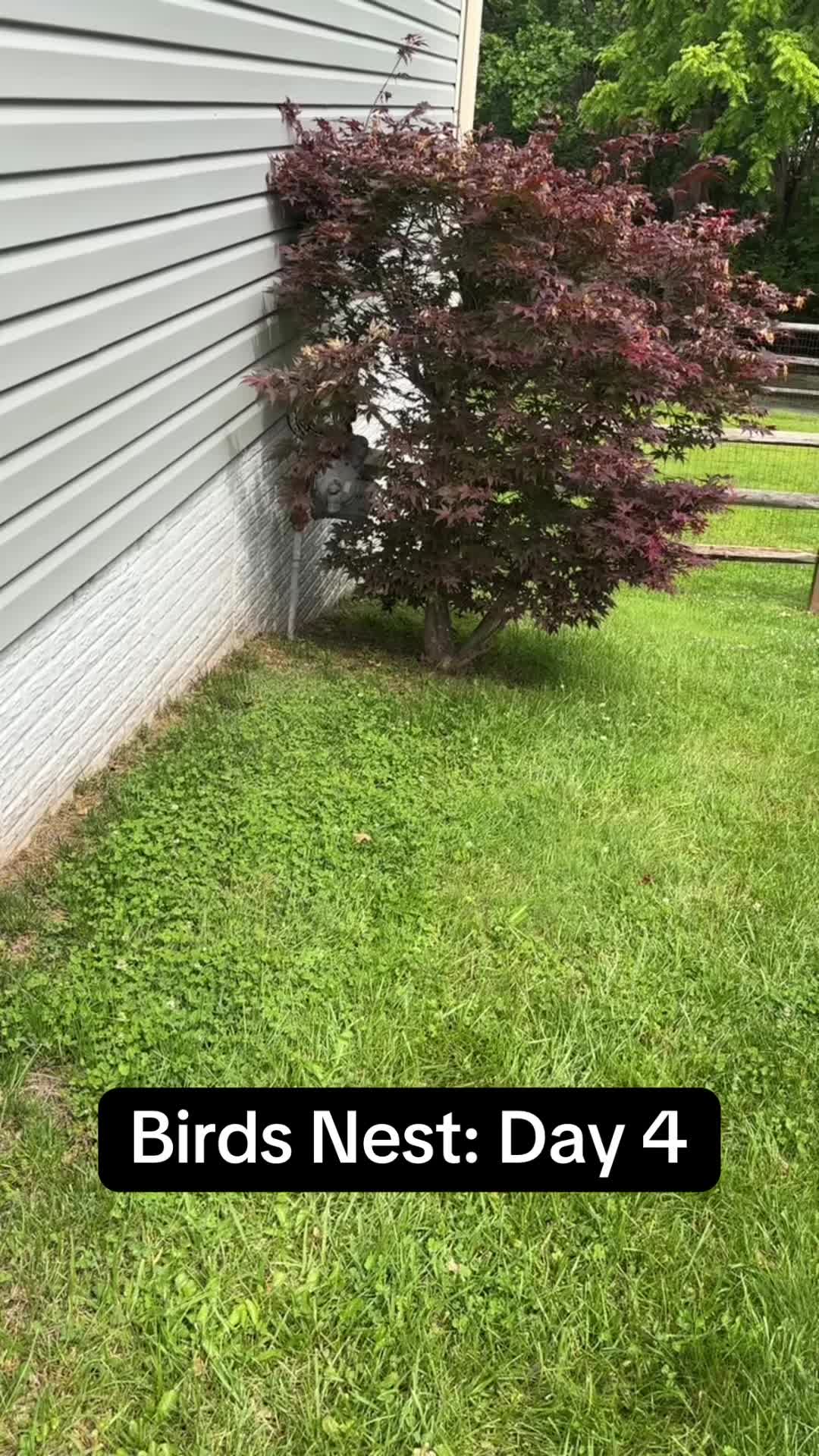 @More1980sGamer