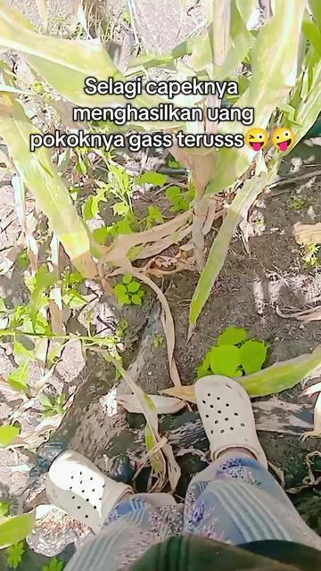 @Anitha🦋.