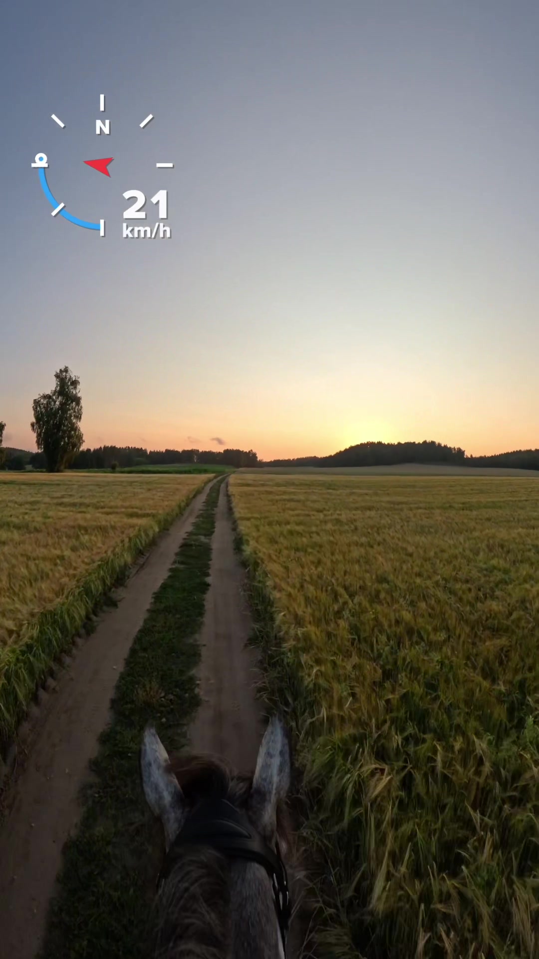 @Stajnia Miejsce Rozwoju