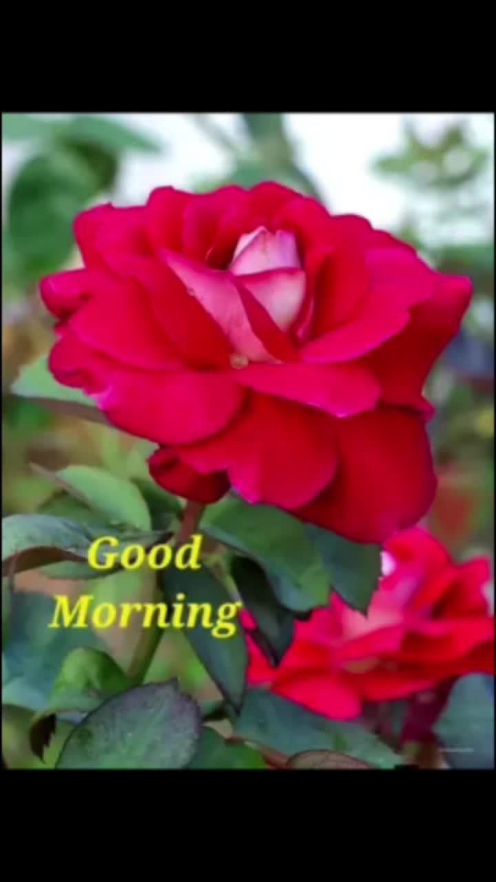 @Sai Meena
