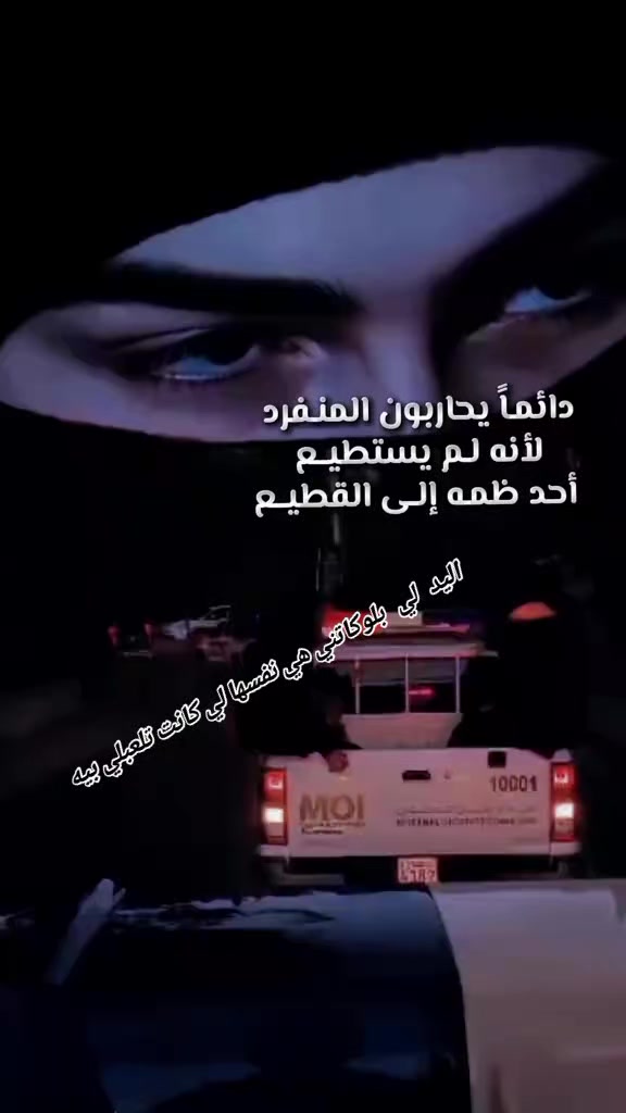 @🇩🇿العَ،نــكبوت الاسًود🕷️