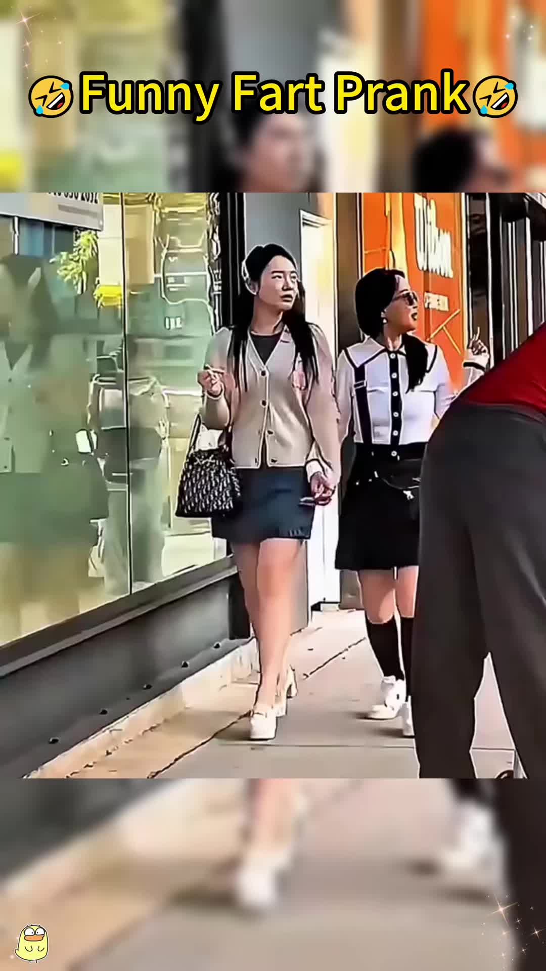 @thefartfactory688