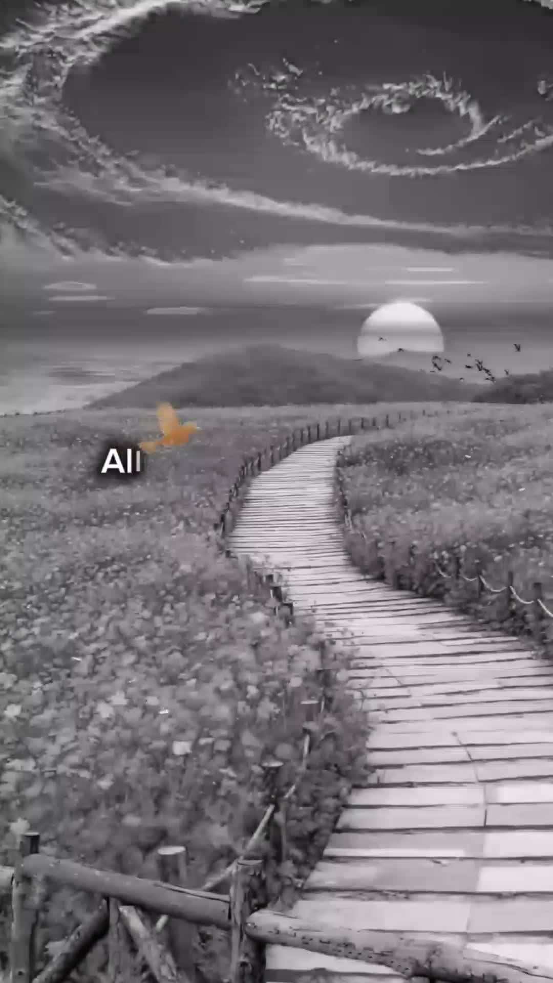 @🦜🦋 illahi diyarı 🦋🦜