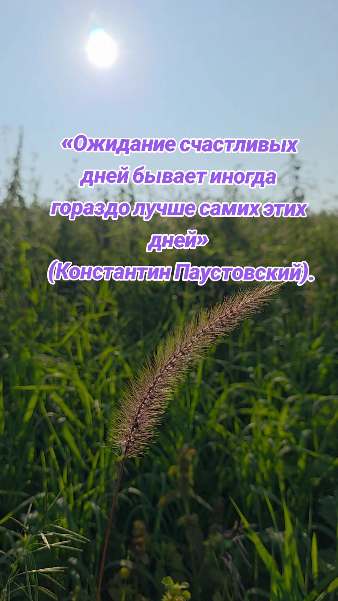 @Яркое Лето