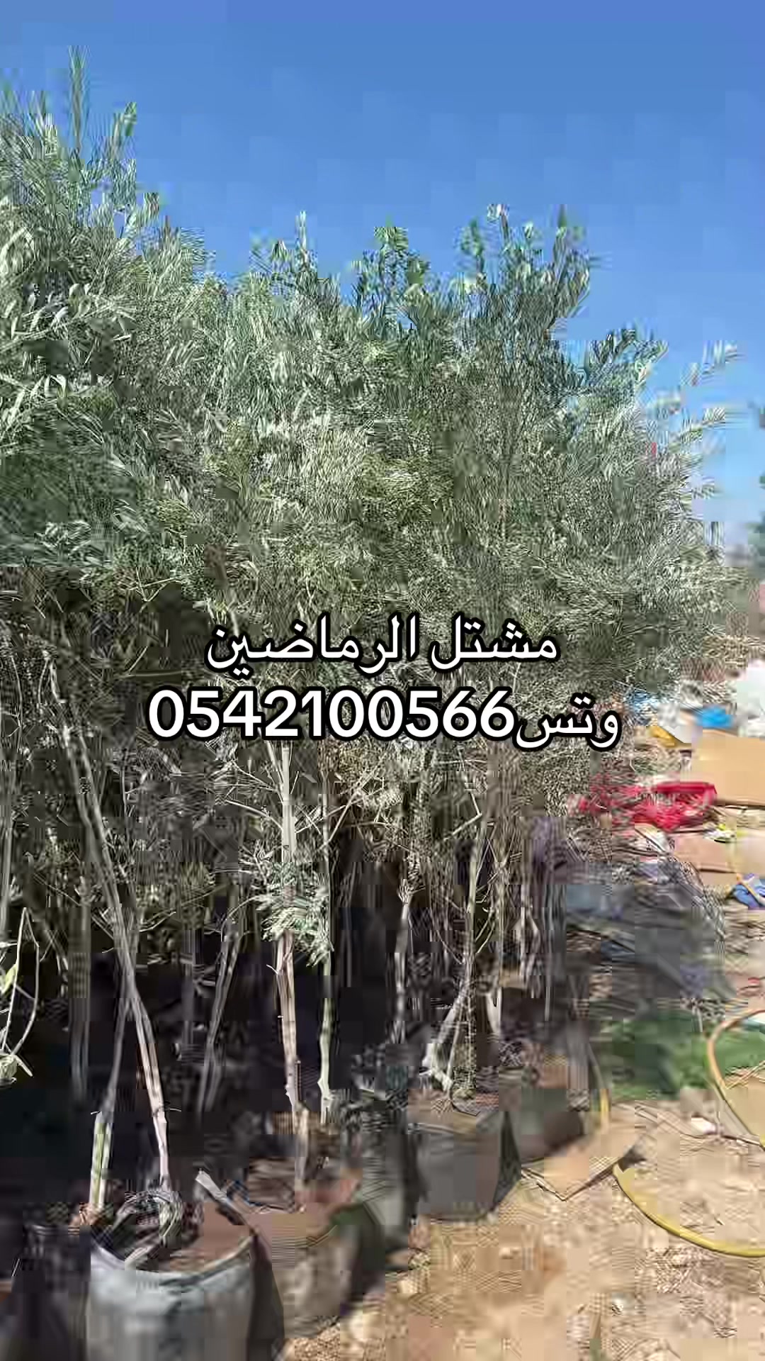@مشتل الرماضين وتس0542100566