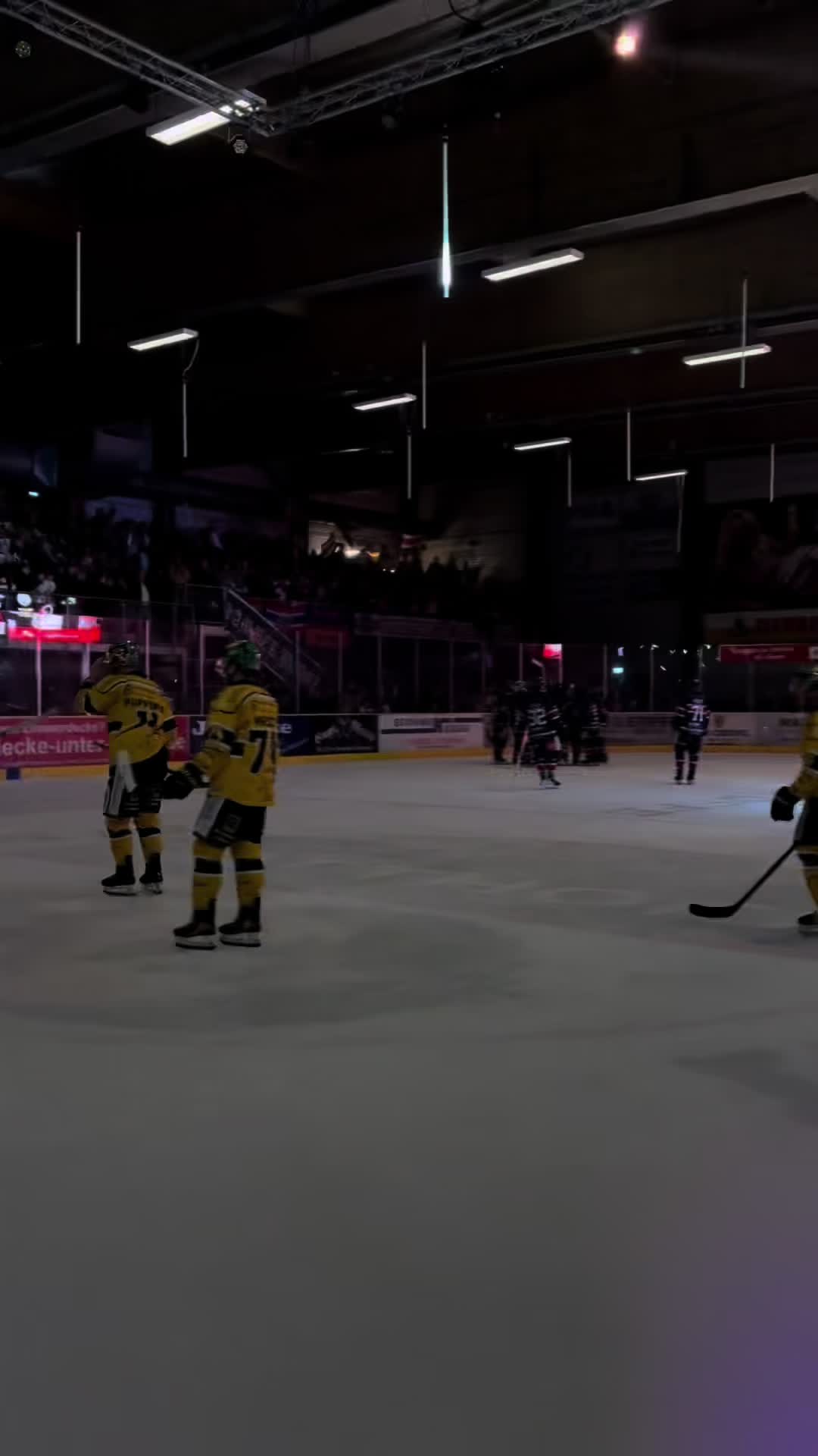 @Hammer Eisbären