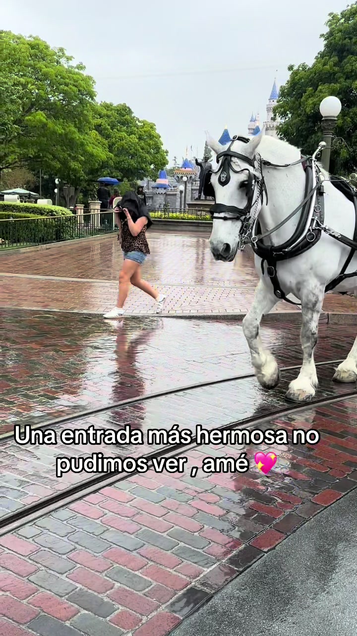 @Lulu Morales