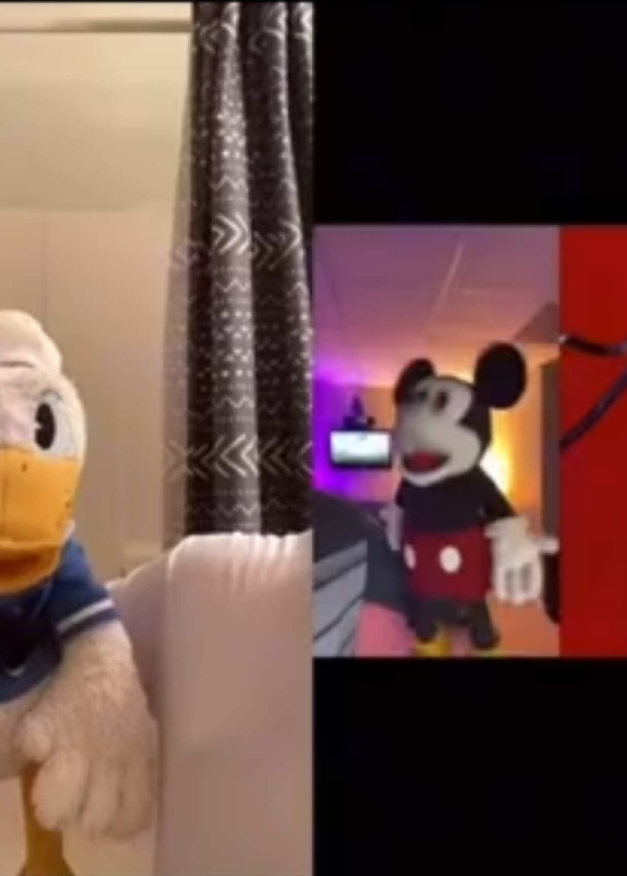 @donaldducc