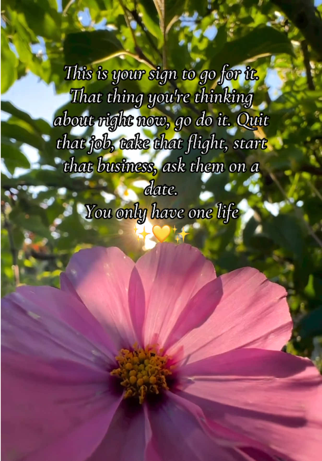 @AbundanceFlow*Manifestation