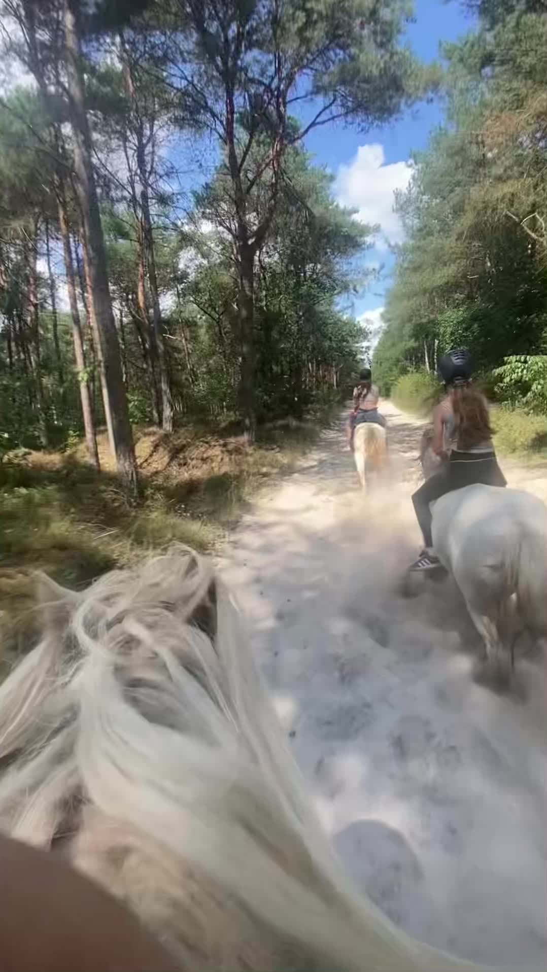 @Amy 🫶🏻🐴