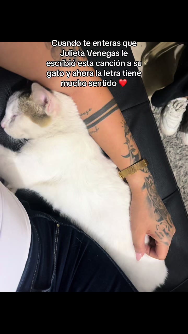 @Karemlop