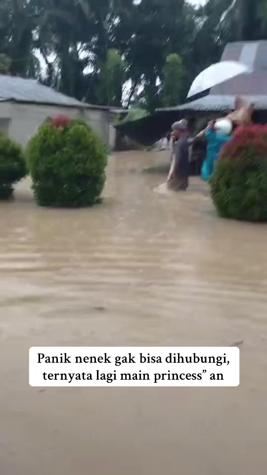 @Hailun