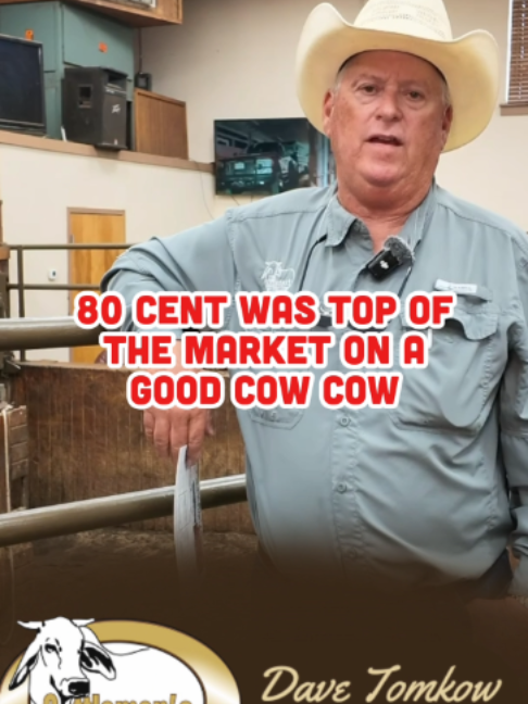 @Cattlemen’s Livestock Market