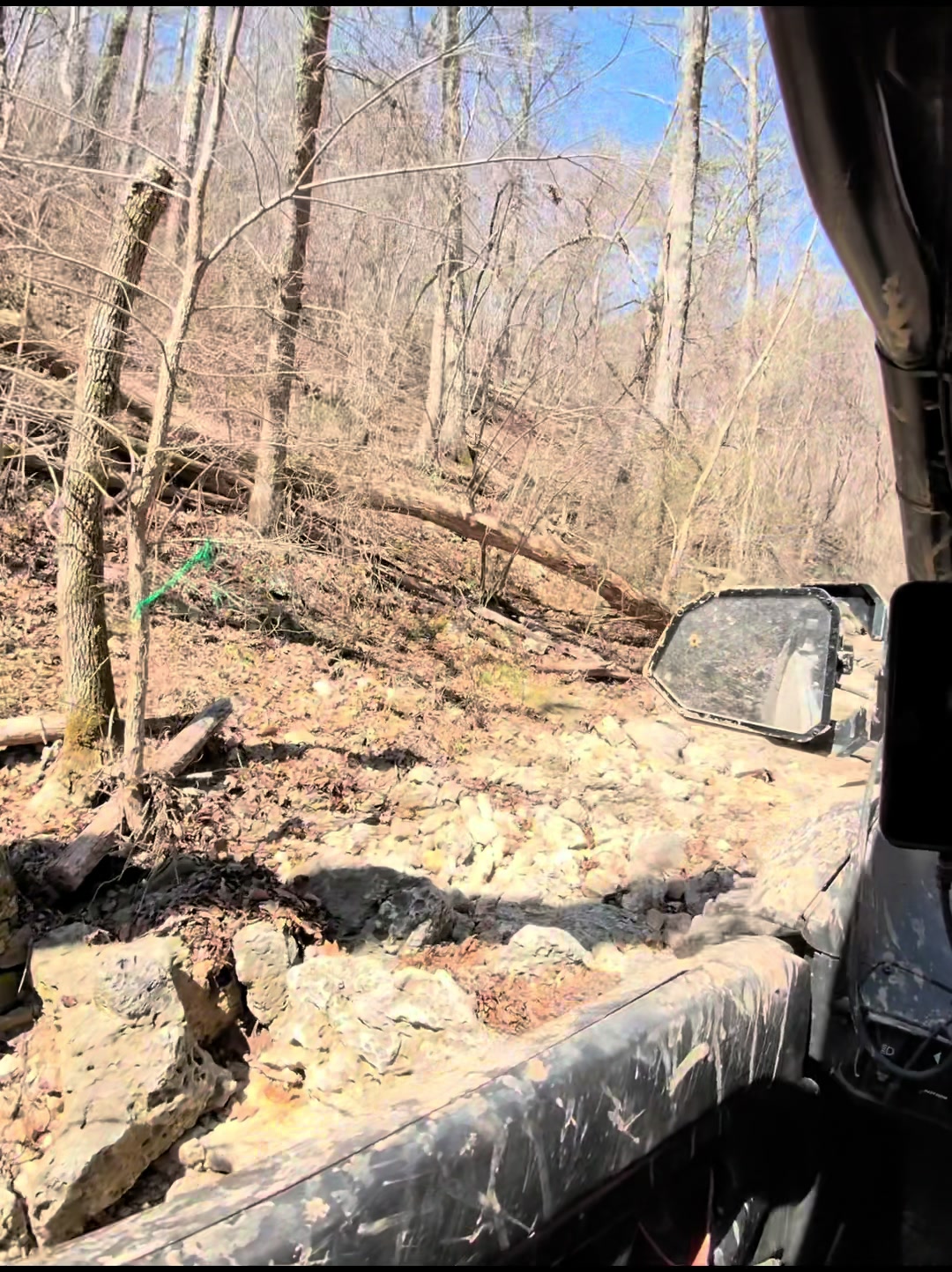 @The Dirts and a R