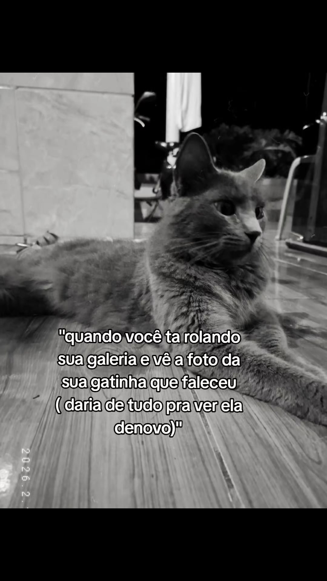 @⋆. 𐙚 ˚lara⋆˚𝜗𝜚˚⋆