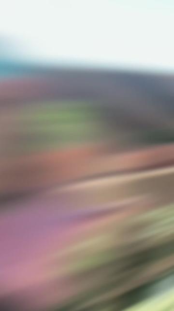 @𝑬𝒔𝒕𝒆𝒓 𝒕𝒖́ 𝒂𝒎𝒊𝒈𝒂 🌺